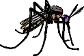 pesky little mosquito